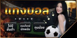 ดูฟุตบอลออนไลน์