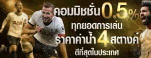 พนันบอลทรูปลอดภัย